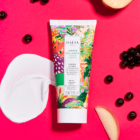 Crème Corps Jardin Pallanca Baïja 75 ml - cassis et jasmin